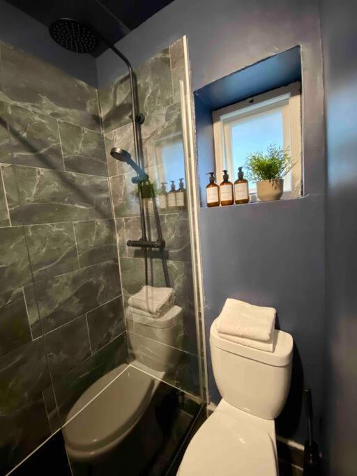 Stylish Studio For 3 Near Regents Park N4 London Exterior foto